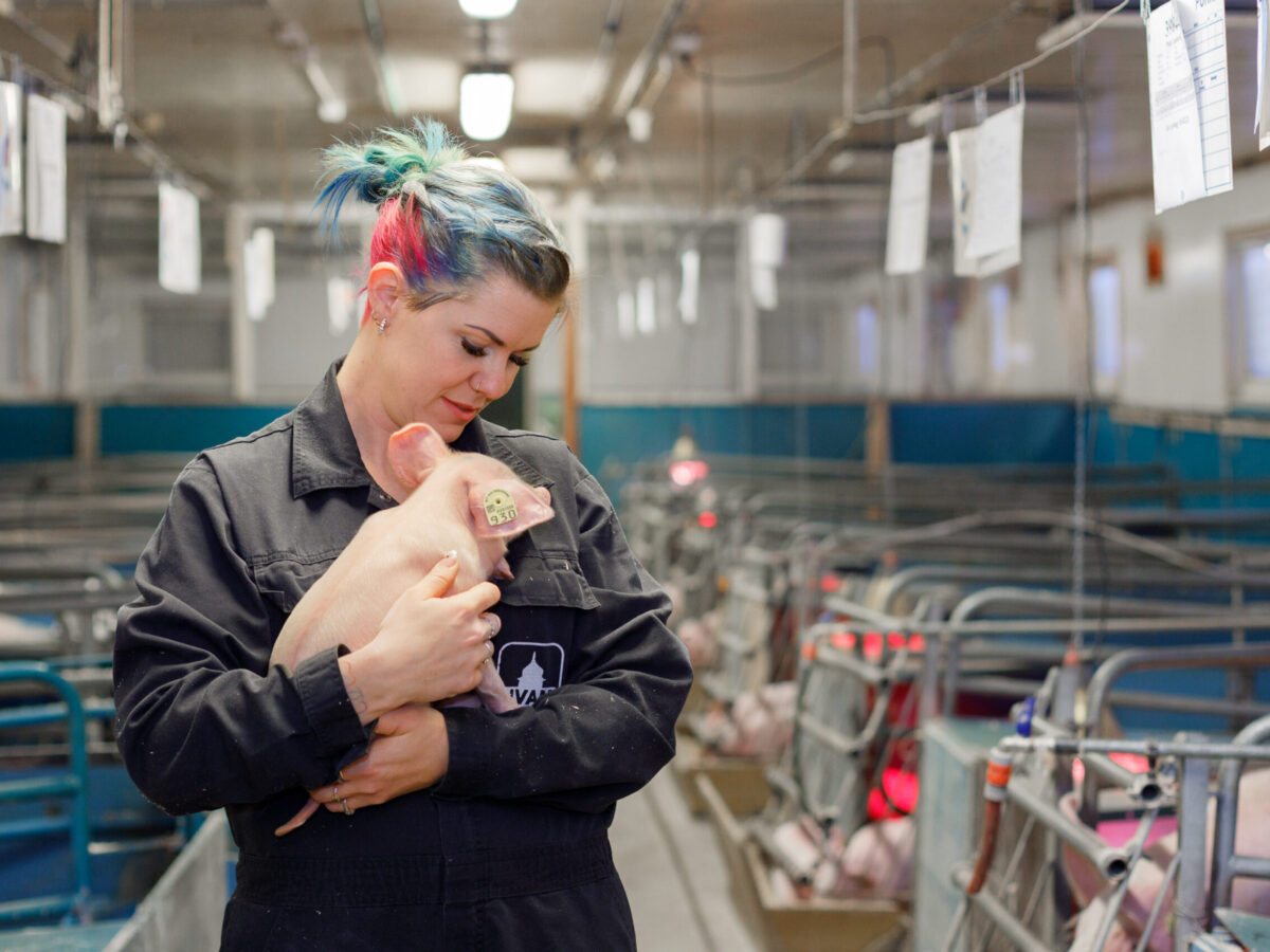 We breed sustainable pork scaled 1