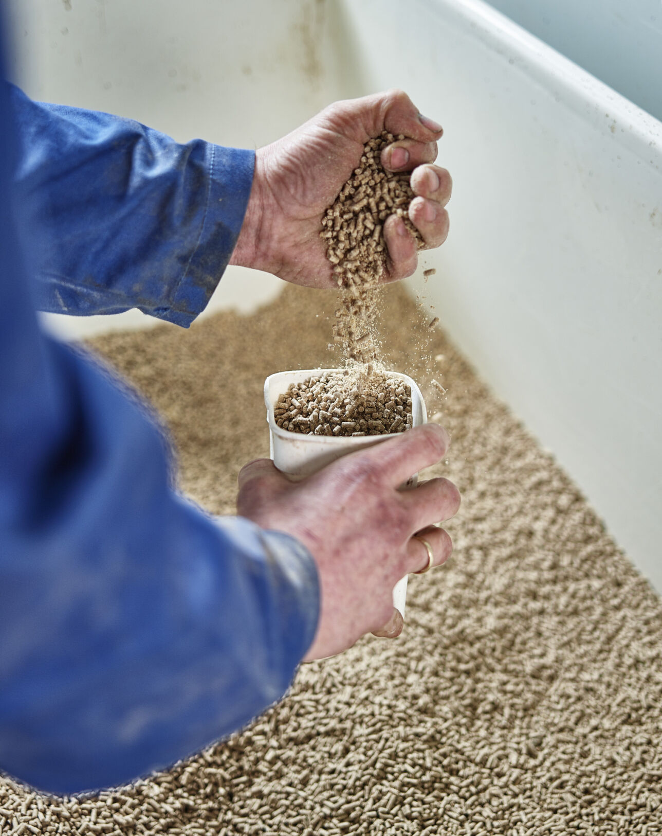 Topigs Norsvin is Improving efficiency across the entire pork production chain.