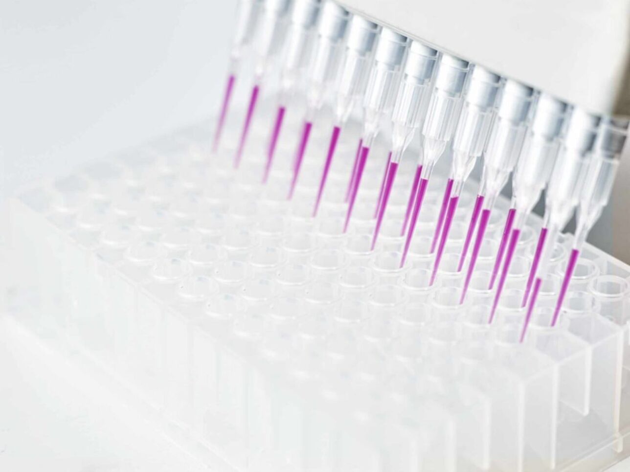Genomics to improve breeding value estimations