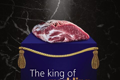 Iberduroc Manual
